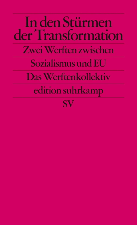 In den Stürmen der Transformation - Philipp Ther, Ulf Brunnbauer, Piotr Filipkowski, Andrew Hodges, Stefano Petrungaro, Peter Wegenschimmel