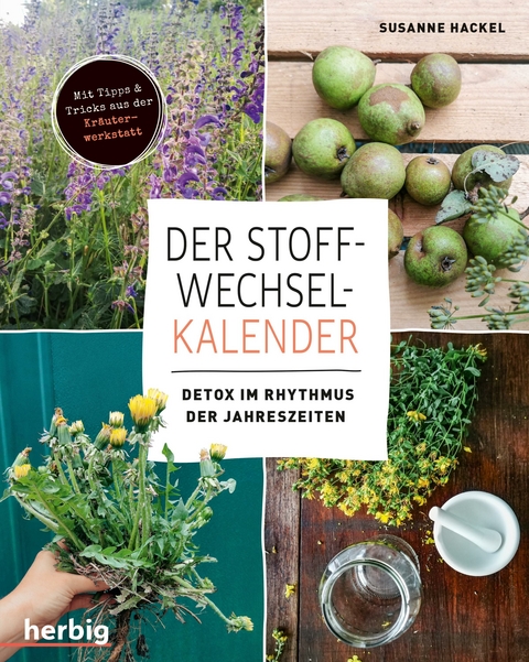 Der Stoffwechsel-Kalender - Susanne Hackel