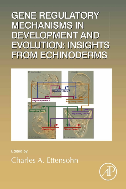 Gene Regulatory Mechanisms in Development and Evolution: Insights from Echinoderms - 