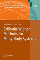 Brillouin-Wigner Methods for Many-Body Systems - Stephen Wilson, Ivan Hubac