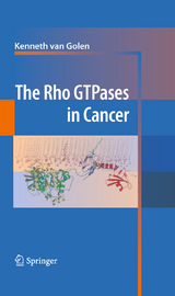 The Rho GTPases in Cancer - 