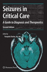 Seizures in Critical Care - 