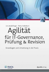 Agilität für IT-Governance, Prüfung & Revision -  Urs Andelfinger,  Petra Haferkorn