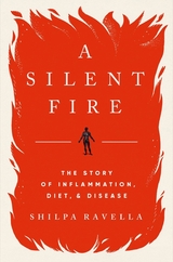 Silent Fire -  Shilpa Ravella