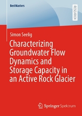 Characterizing Groundwater Flow Dynamics and Storage Capacity in an Active Rock Glacier - Simon Seelig