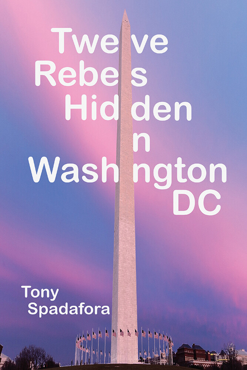 Twelve Rebels Hidden in Washington, DC -  Tony Spadafora