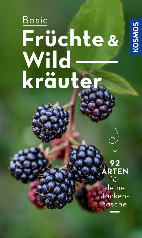 BASIC Früchte und Wildkräuter - Eva-Maria Dreyer