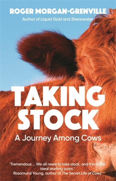 Taking Stock -  Roger Morgan-Grenville