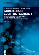 Gleichstromnetze, Operationsverstärkerschaltungen, elektrische und magnetische Felder - Christian Spieker, Oliver Haas