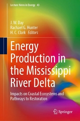 Energy Production in the Mississippi River Delta - 