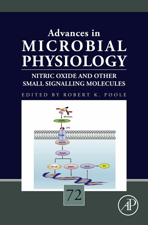 Nitric Oxide and Other Small Signalling Molecules - 