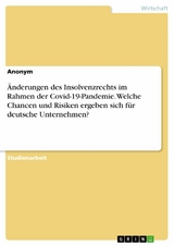 Änderungen des Insolvenzrechts im Rahmen der Covid-19-Pandemie. Welche Chancen und Risiken ergeben sich für deutsche Unternehmen?