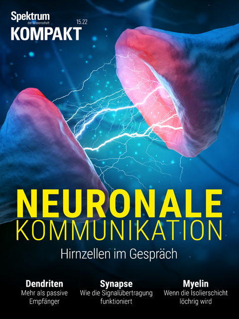 Spektrum Kompakt - Neuronale Kommunikation -  Spektrum der Wissenschaft Verlagsgesellschaft