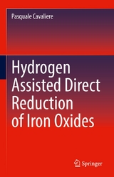 Hydrogen Assisted Direct Reduction of Iron Oxides - Pasquale Cavaliere