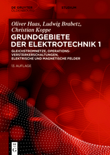 Gleichstromnetze, Operationsverstärkerschaltungen, elektrische und magnetische Felder - Ludwig Brabetz, Christian Koppe, Oliver Haas