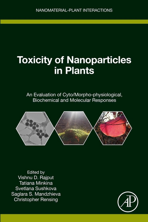 Toxicity of Nanoparticles in Plants - 