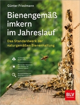 Bienengemäß imkern im Jahreslauf -  Günter Friedmann