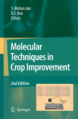 Molecular Techniques in Crop Improvement - Jain, Shri Mohan; Brar, D.S.