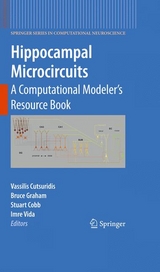 Hippocampal Microcircuits - 