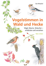 Vogelstimmen in Wald und Hecke - Uwe Westphal