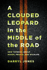 A Clouded Leopard in the Middle of the Road - Darryl Jones