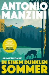 In einem dunklen Sommer -  Antonio Manzini