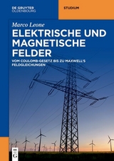 Elektrische und magnetische Felder - Marco Leone