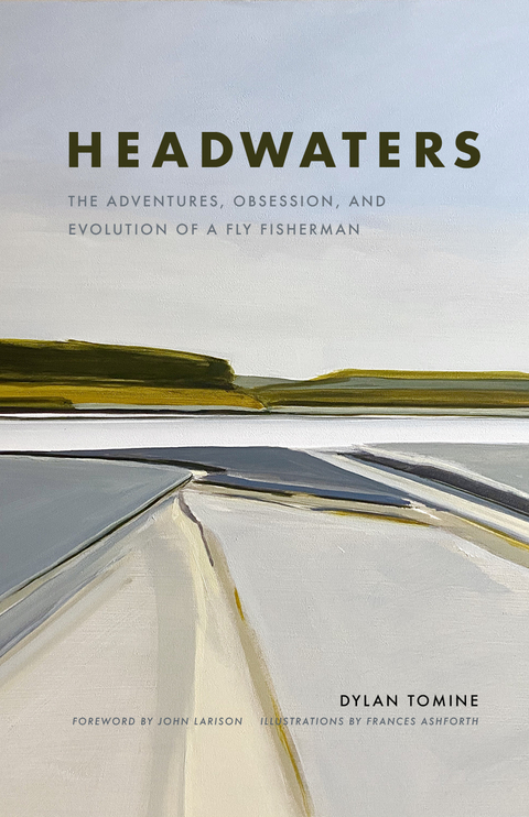 Headwaters -  Dylan Tomine