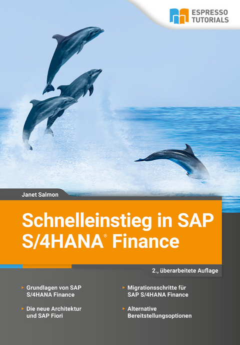 Schnelleinstieg in SAP S/4HANA Finance - Janet Salmon