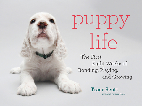 Puppy Life -  Traer Scott