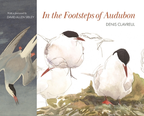 In the Footsteps of Audubon - Denis Clavreul