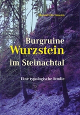 Burgruine Wurzstein im Steinachtal - Harald Herrmann