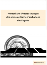 Numerische Untersuchungen des aeroakustischen Verhaltens des Fagotts - Andreas Richter