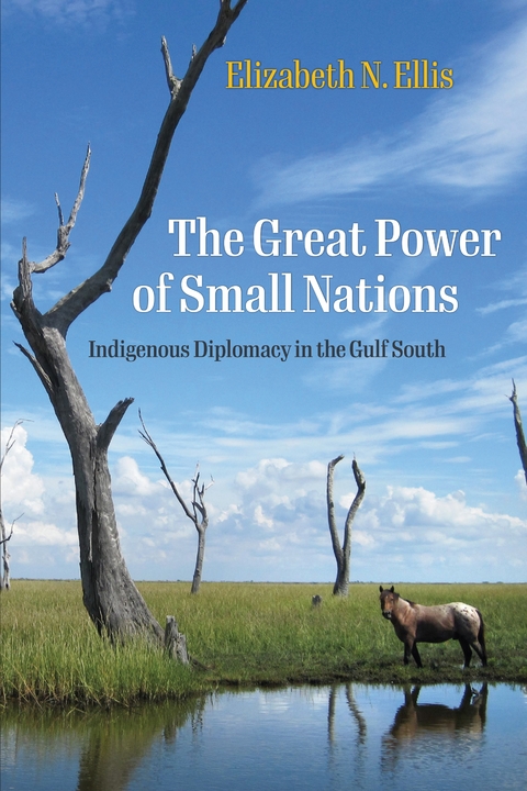 The Great Power of Small Nations - Elizabeth N. Ellis