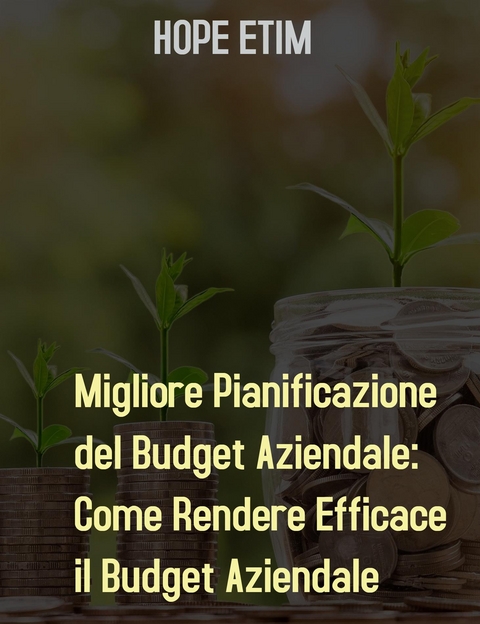 Migliore Pianificazione del Budget Aziendale: Come Rendere Efficace il Budget Aziendale - Hope Etim