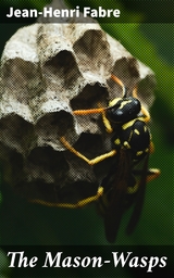 The Mason-Wasps - Jean-Henri Fabre