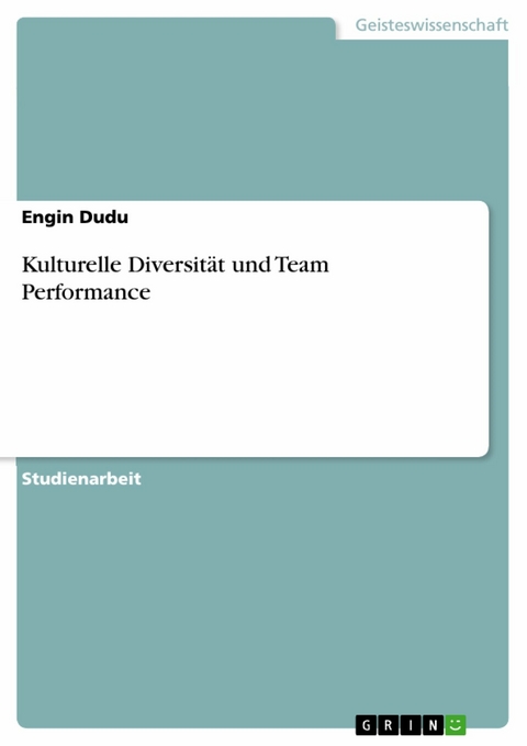 Kulturelle Diversität und Team Performance - Engin Dudu