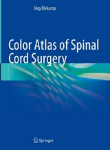 Color Atlas of Spinal Cord Surgery - Jörg Klekamp