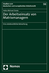 Der Arbeitseinsatz von Matrixmanagern - Heiko Michael Zieske