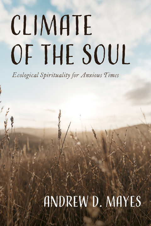 Climate of the Soul - Andrew D. Mayes