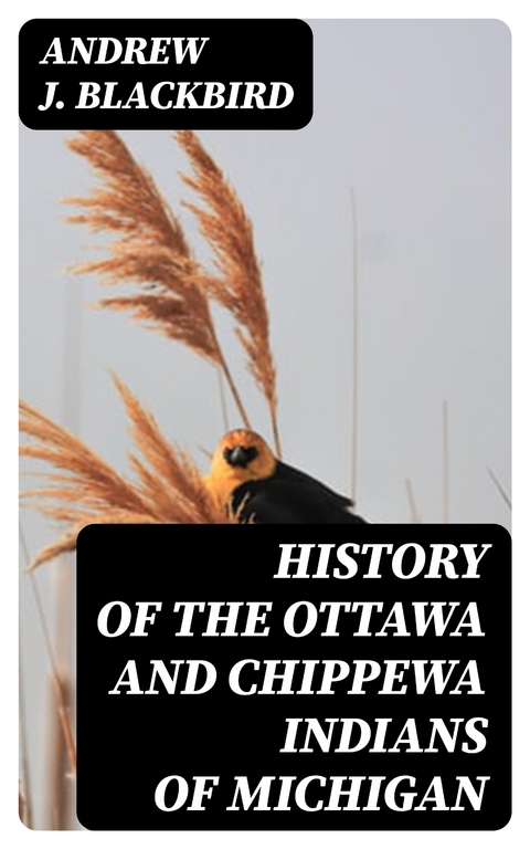 History of the Ottawa and Chippewa Indians of Michigan - Andrew J. Blackbird