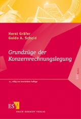 Grundzüge der Konzernrechnungslegung - Horst Gräfer, Guido A. Scheld