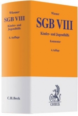 SGB VIII - 