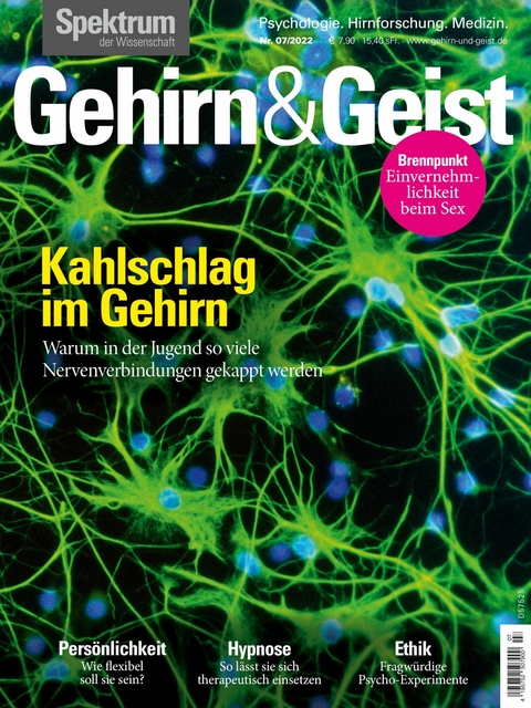 Gehirn&Geist 7/22 - Kahlschlag im Gehirn