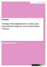 Hochgeschwindigkeitsnetz in China und Deutschland. Vergleich zweier (Eisenbahn-) Systeme