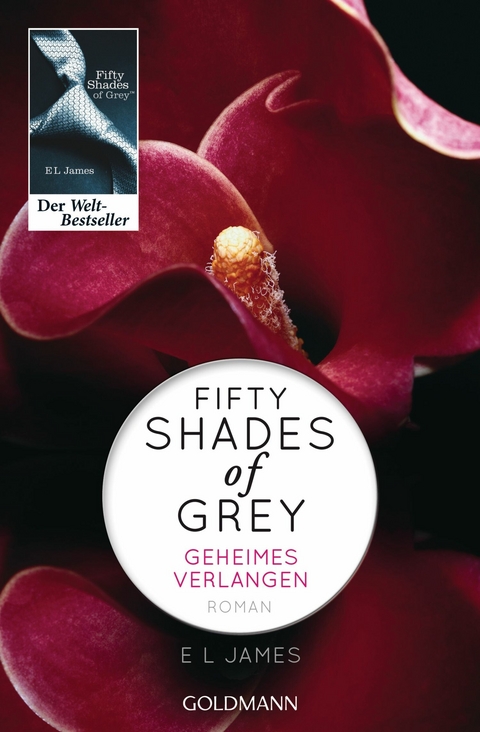 Fifty Shades of Grey - Geheimes Verlangen - E L James