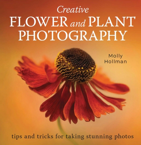 Creative Flower and Plant Photography -  Molly Hollman