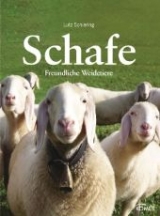 Schafe - Lutz Schiering