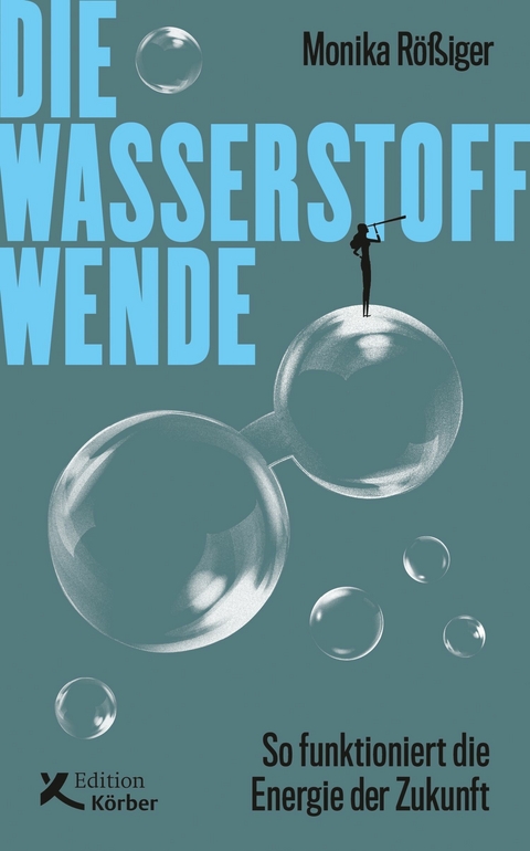 Die Wasserstoff-Wende - Monika Rößiger