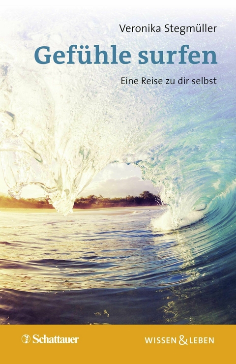 Gefühle surfen -  Veronika Stegmüller